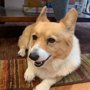 Meet your Posher, Jamie